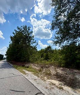 3rd image of 0 Lee Road 29