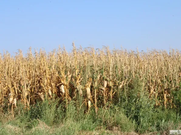 0 S 120th Rd, Filley, NE 68357
