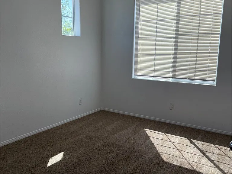 10519 Allegrini Dr — Photo 16