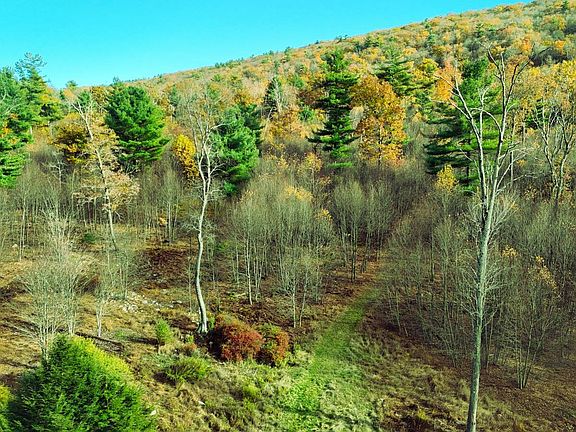 2nd image of 1 Ducks Gap Rd