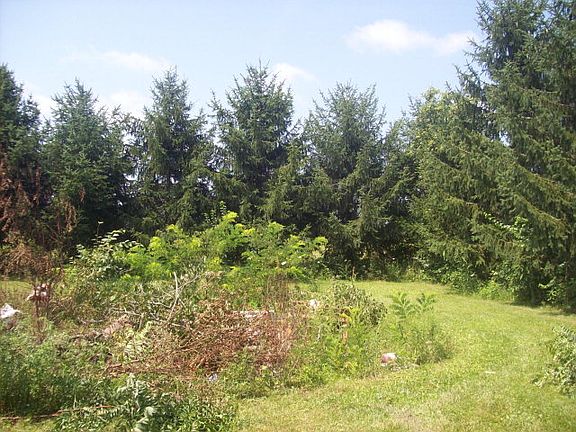 4th image of 1163 State Route 207