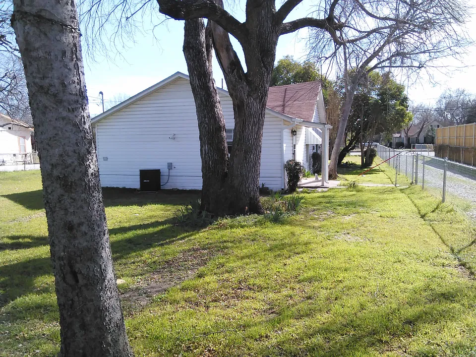 Back yard