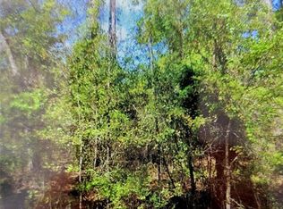 102 SE 1st St #42, Georgetown, FL 32139