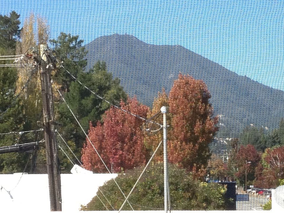 Mt Tam view