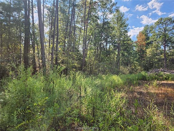 2nd image of LOT 24 Hackberry Dr