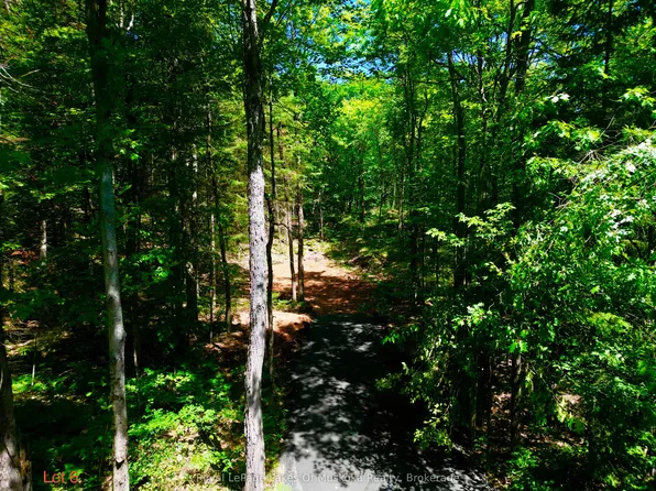 LOT 6 Fairy Falls Rd, Lake Of Bays, ON P0B 1A0