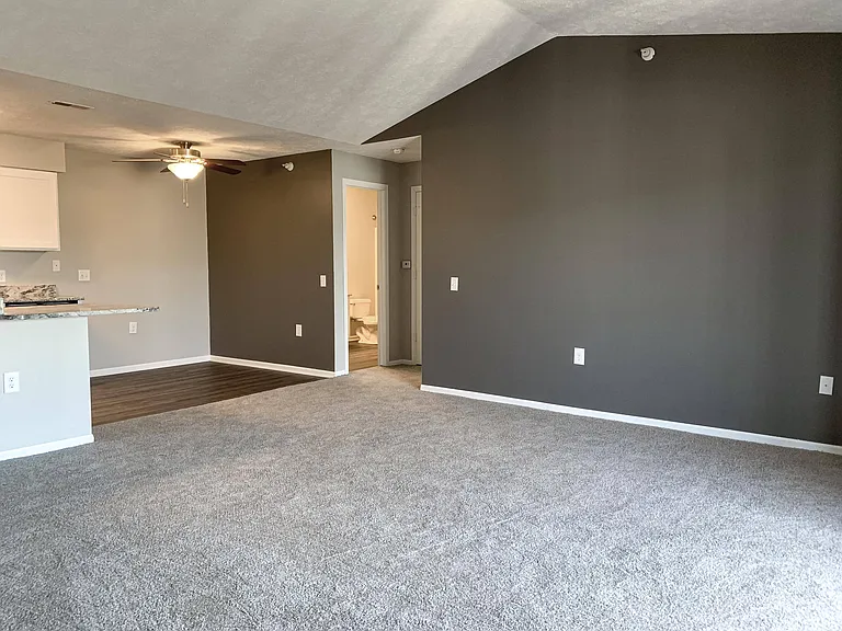 Open-concept living and dining area with plush carpet, wood-style flooring, and a dark accent wall for added contrast.