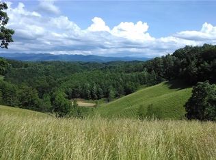 2243 Silver Mill Rd, Marshall, NC 28753