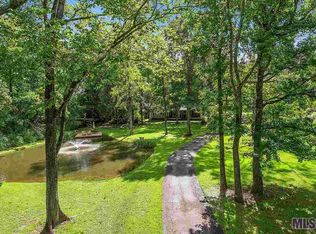 17124 Joe Sevario Rd, Prairieville, LA 70769