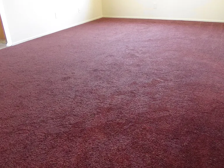 704 Summerwood Ln #3 — Photo 19