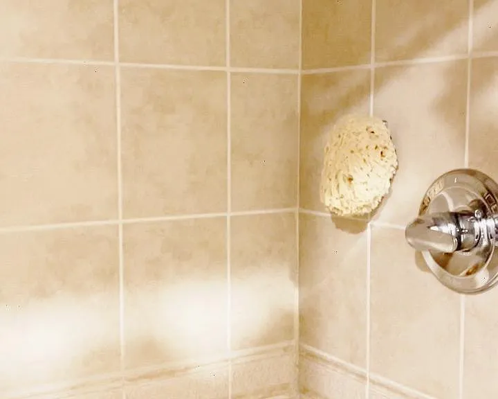 master bath shower