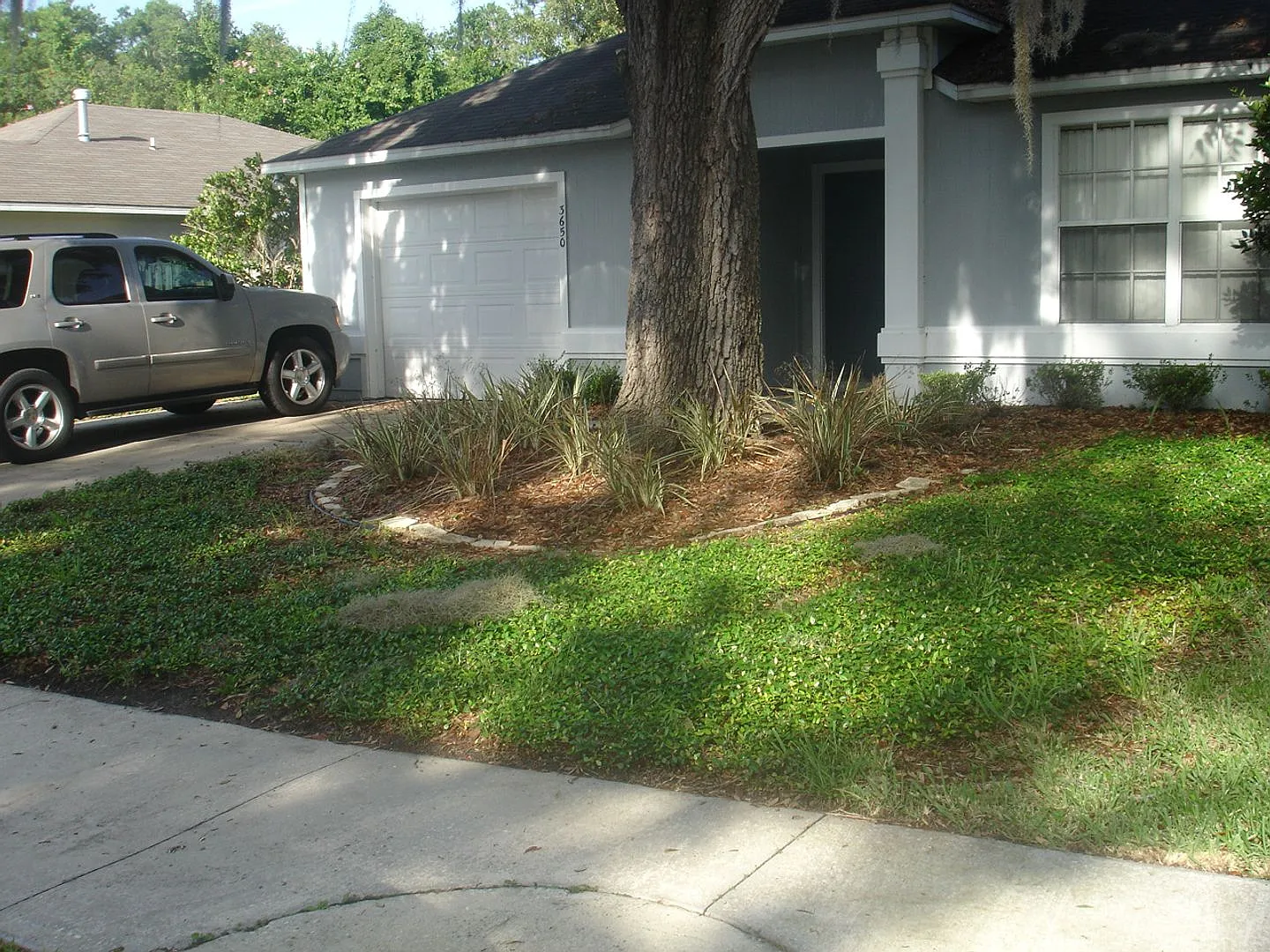 2/2 House with Garage in Palm Grove — Photo 4