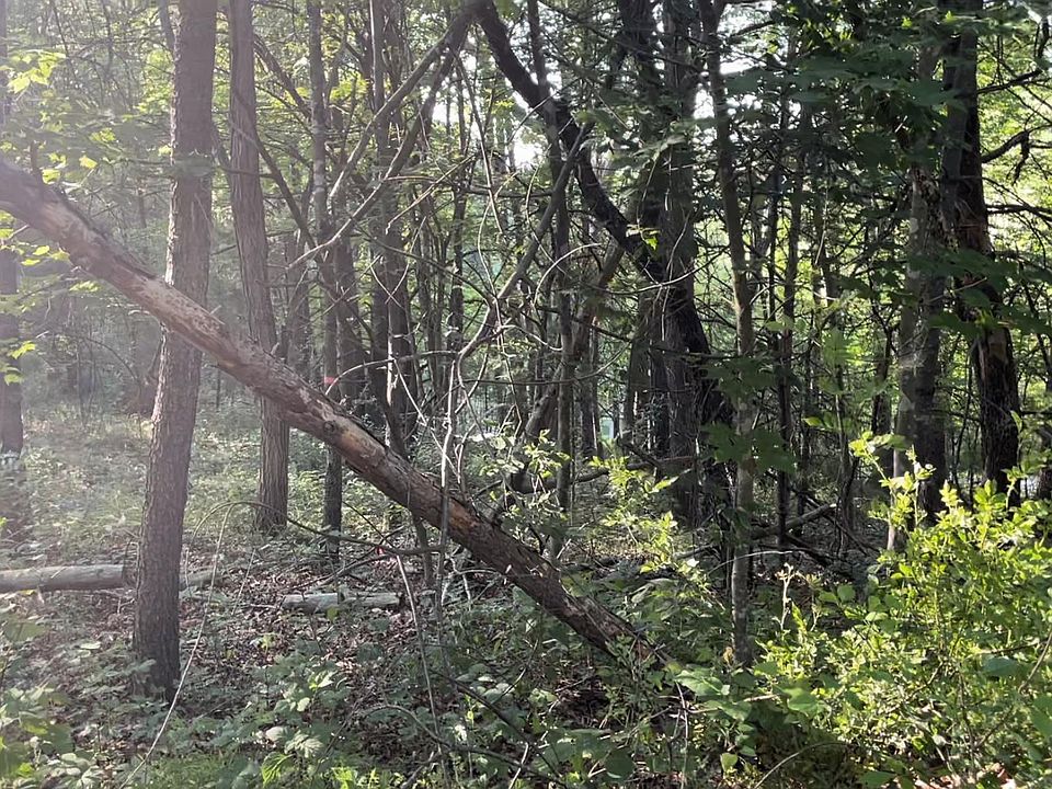 2nd image of 0 Fawn Dr