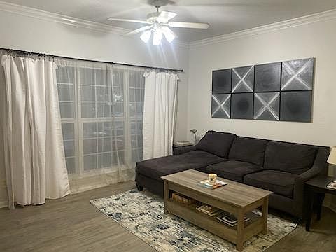 5th image of 700 Daniel Ellis Dr APT 4105