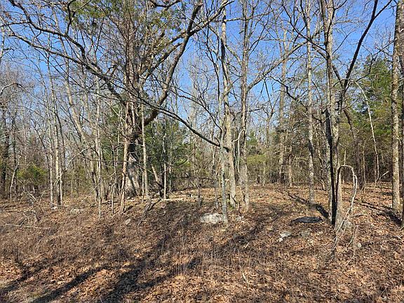 3rd image of L3-B2 Inca Trce