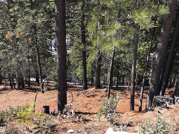 2nd image of 1757 Patricia Ln #723