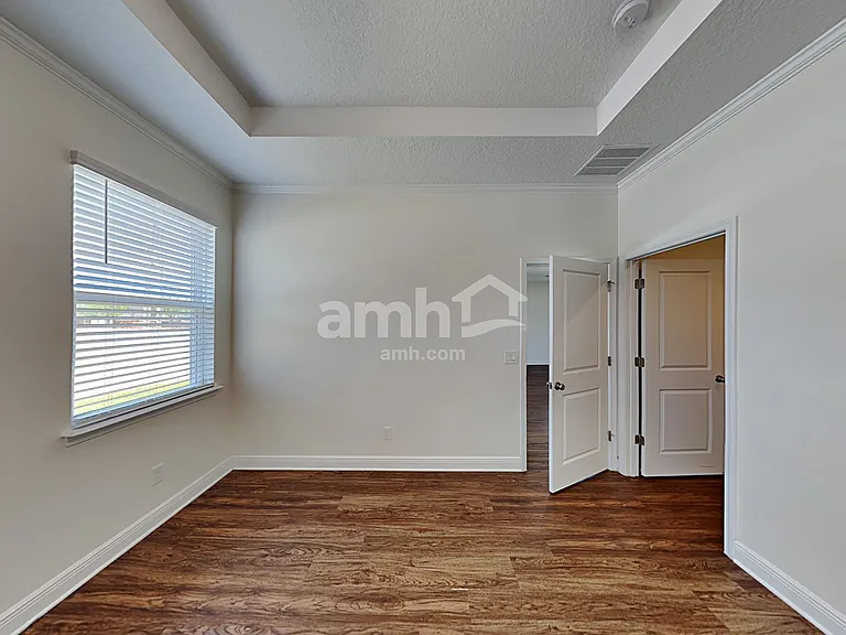 1306 Celery Palm Cv — Photo 12