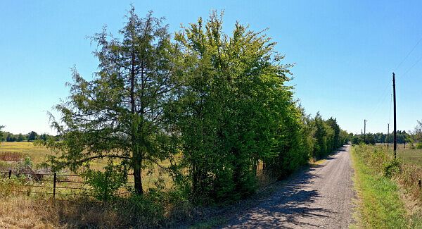 2nd image of 0 County Road 2537