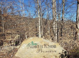 70 N Knob Ln #10, Weaverville, NC 28787