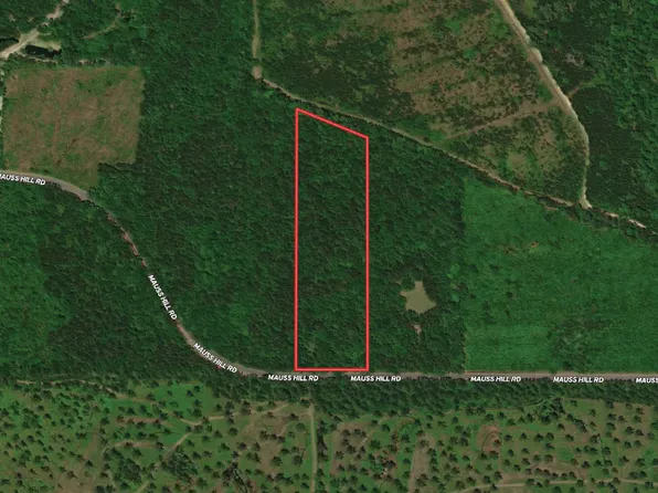 5522 Mauss Hill Rd, Adams Run, SC 29426