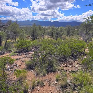 4R-5 N Ike Clark Pkwy, Young, AZ, 85554