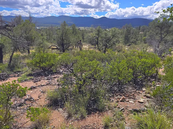 4R-5 N Ike Clark Pkwy, Young, AZ 85554