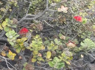 92 2460th #1, Captain Cook, HI 96704