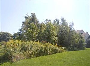3rd image of 4 Fairpoint Dr