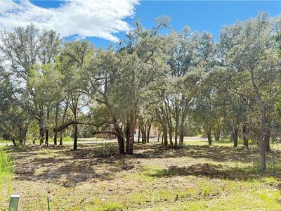 54 N Indianapolis Ave, Hernando, FL, 34442