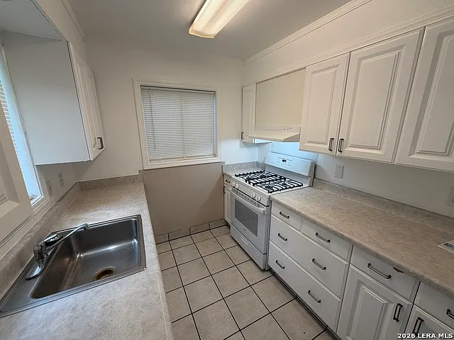 161 Lost Forest St — Photo 6