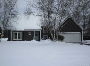 67 Rauch Dr, Springville, NY 14141