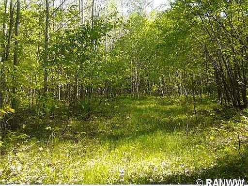 3rd image of 0 N Bass Lake Lane