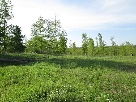 5th image of 0 W Lick Creek