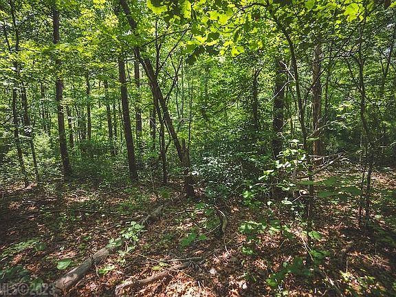 5th image of Tbd Dogwood Mountain Ln