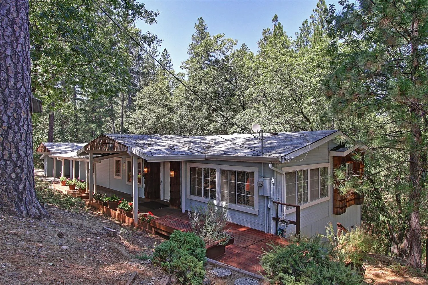 595 A Ln photo 1