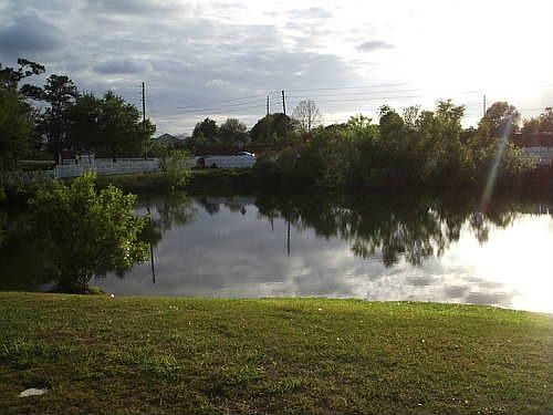 porch view of pond