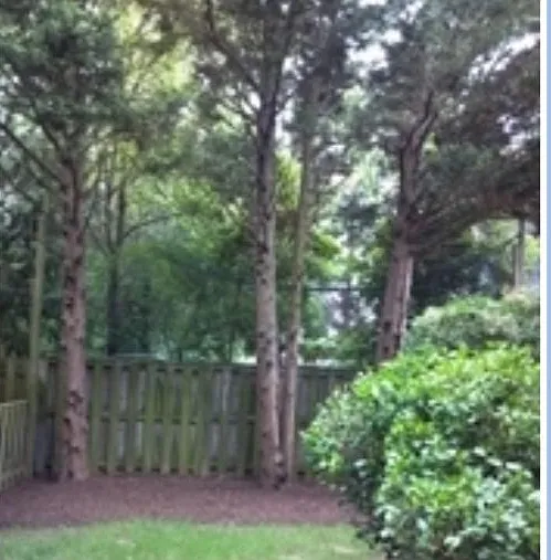 Side yard