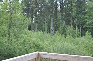 Deck, Park like view, yard