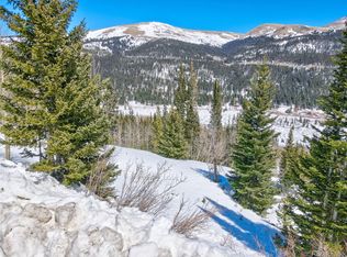 1257 Roberts Rd #13, Alma, CO 80420