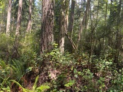 0 Fowler Park, Pt Townsend, WA, 98368