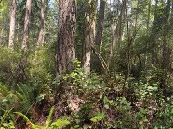 0 Fowler Park, Port Townsend, WA 98368