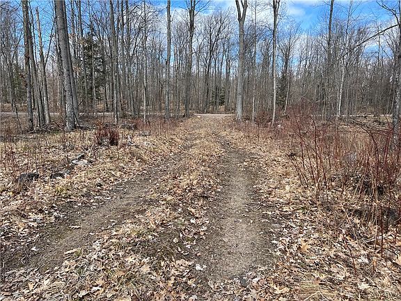 3rd image of 19.11 Acres Falstad Road