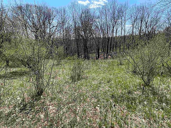 2nd image of LOT 362 Matterhorn Ct