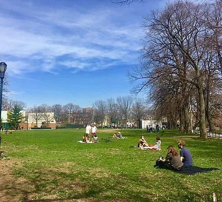 Rented by Manhattan Management LLC | media 124