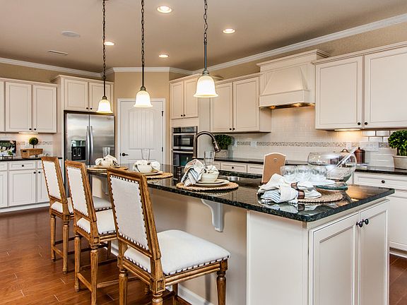 Model Representation