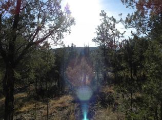 214 Grant Dr, Ruidoso, NM 88345