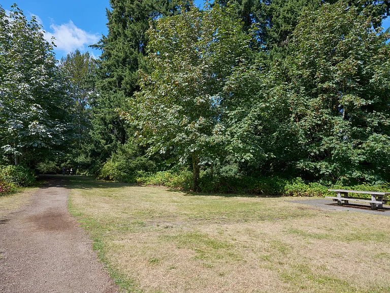 North Creek Park exhibits extensive trails