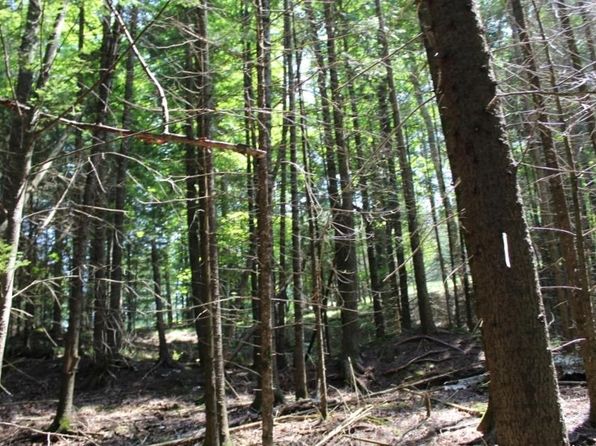 LOT 4 Forest Ln, Pickerel, WI 54465