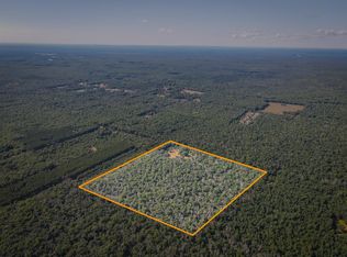 10 W Mile Rd, Irons, MI 49644