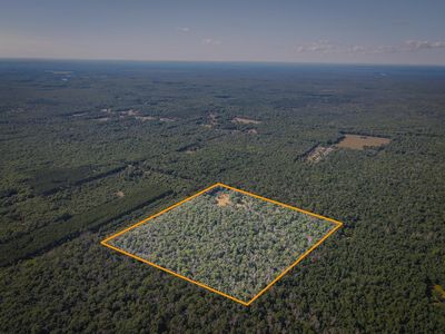 10 W Mile Rd, Irons, MI, 49644